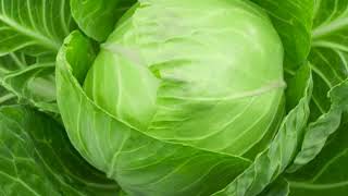 Cabbage Face