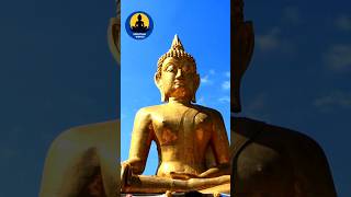 Lord Buddha Best Quotes #shorts #meditation #spiritualworld #buddha #buddhism #yoga