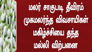 மலர் சாகுபடி தீவிரம் முகமலர்ந்த விவசாயிகள் மகிழ்ச்சியை தந்த மல்லி விற்பனை