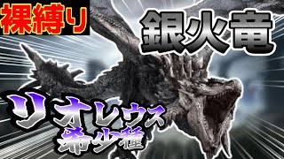 【MHR:S】金レイア同様強化の入った『リオレウス希少種』！案の定苦戦するも最後は…〈MR〉 #30 ～初心者キーマウ裸縛り修行～ 【モンスターハンターライズサンブレイク】