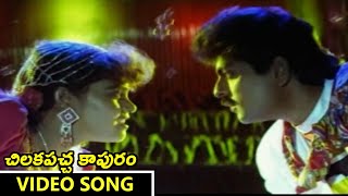 Gopeeloludaa Video Song || Chilakapacha Kapuram Movie || Jagapathi Babu,Soundarya,meena