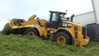 CAT 962M Wheel-Loader working hard in the silage stack | Danish Agriculture