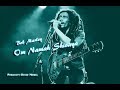 Download Bob Marley - Om Namah Shivaya In Mp4 3Gp Full HD Video