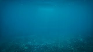 깊은 바다 속, 물소리 (고음질) | 10시간 | ASMR | 집중, 깊은 잠, 공부,  치유, 수면유도, 명상 | 10분 뒤 검은화면 | Under water