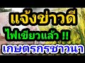 แจ้งข่าวดี🎯อัพเดทล่าสุดวันนี้ 9 พ.ย. นบข.ไฟเขียวแล้ว ช่วยเหลือเกษตรกรชาวนา ราคาข้าวเปลือก