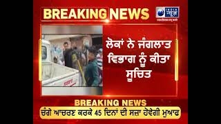 ਪਠਾਨਕੋਟ ਦੇ 1 ਘਰ 'ਚ ਵੜੀਆ ਏਸ਼ੀਅਨ ਓਟਰ || India News Punjab || Latest News ||