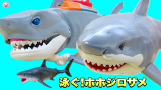 ホホジロザメをお風呂場で泳がせる🦈【ZURU ROBO ALIVE GREAT WHITE SHARK】