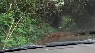 കൊടും വനത്തിലൂടെ ഒരു യാത്ര#konni trip# Part-3#Konni Reserve Forest