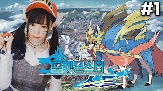 포켓몬스터 소드 실드[01-1일차] - 드디어 발매! 새로운 모험의 시작 (소드 편) - pokemon sword shield