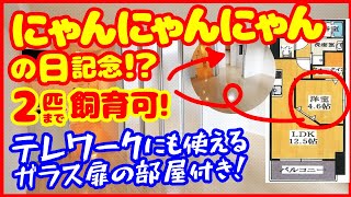 【希少な猫可（ペット可）物件！】なんと！2匹までOK！テレワークにも使えそうな、珍しいガラス扉の小部屋も魅力的！【1LDKを内見】