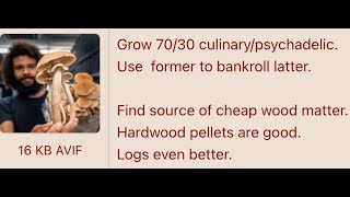 SIDE HUSTLE: Growing Mushrooms | 4chan stories