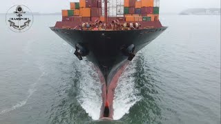 SHIPSPOTTING SANTOS PORT, DRONE \u0026 SHORE FOOTAGE #247