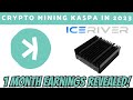 ICERIVER KS0 1 MONTH Review Kaspa Mining in 2023 Kaspa ASIC #cryptomining #kaspa