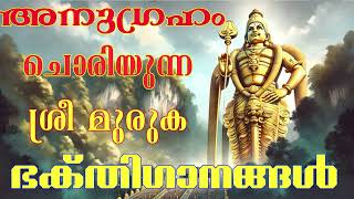 മനസ്സിൽ നിറയുന്ന മുരുകന്റെ ഭക്തിയുണർത്തുന്ന ഗാനങ്ങൾ | Sree Murugan Songs | Hindu Devotional