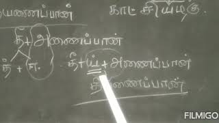 11 ஆம் வகுப்பு இயல்-2 இலக்கணம்-புணர்ச்சி விதிகள்