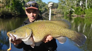 Catching Murray Cod on the River