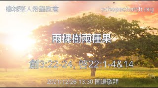 2021-12-26_兩棵樹兩種果