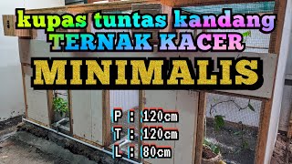 Kandang Ternak Kacer Minimalis || Sukses Ternak Kacer Di Kandang Kecil