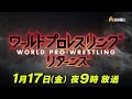 world tag league 2024 part.2【ワールドプロレスリターンズ】