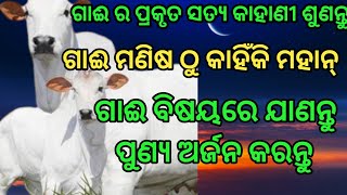 ଗାଈ ର ପ୍ରକୃତ ସତ୍ୟ କାହାଣୀ ଶୁଣନ୍ତୁ।। ଗାଈ ମଣିଷ ଠୁ କାହିଁକି ମହାନ୍