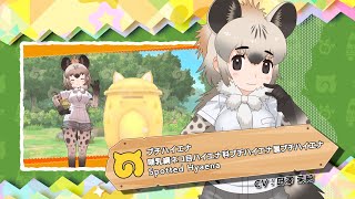 『けものフレンズ３』フレンズ紹介ブチハイエナ（CV実装版）