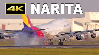 [4K] Plane spotting at Tokyo Narita Airport 2023 ”Sakura no yama Park\