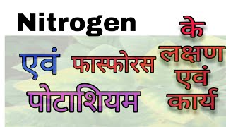 Nitrogen Phosphorus Pottasium केंDeficiency Symptoms क्या होते हैं। Deficiency Symptoms of Nitrogen