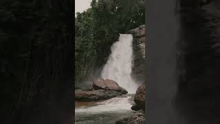 Soochipara Waterfalls (Sentinel Rock Waterfalls) | Mountain Shadows | Incredible Wayanad