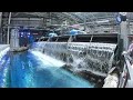 Behind the Scenes at Georgia Aquarium