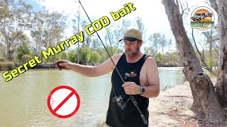 Secret Murray Cod Bait Fishing Recipe – River Fishing in Australia