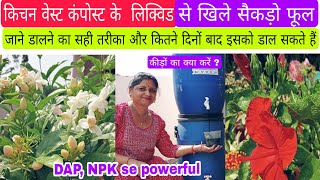 DAP,NPK, यूरिया से हाई पावरफुल तरल खाद , kitchen waste compost ka liquid, 3 दिनों में रिजल्ट दिखेगा