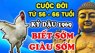 Tiết Lộ Tử Vi Trọn Đời Tuổi Kỷ Dậu 1969 Từ 56-66 Tuổi, BIẾT SỚM GIÀU SỚM, Tiền Đè Ngạt Thở | LPTV