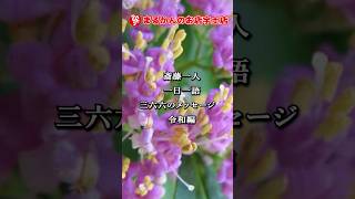 【斎藤一人】新一日一語366のメッセージ　#11月6日　#斎藤一人　#銀座まるかん　#まるかんのお店　#言霊　#開運　 #shorts