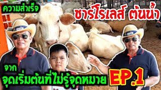 วัวขุนต้นน้ำEP.1 ทั้งชาร์โรเลส์และบราห์มัน  ใหญ่สุดในจังหวัด ความสำเร็จจากจุดเริ่มต้นที่ไร้จุดหมาย