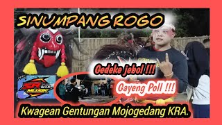 GEDEKE JEBOL REOKE KABUR !!! SINUMPANG ROGO LIVE KWAGEAN GENTUNGAN KRA.