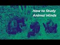 Unlocking The Secrets Of Animal Minds | ONsite