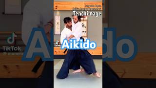 Aikido master amazing skills martial arts hapkido jiujitsu judo Kung Fu wushu karate training