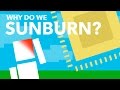 Why Do You Get A Sunburn? Why Do You Get A Sunburn?