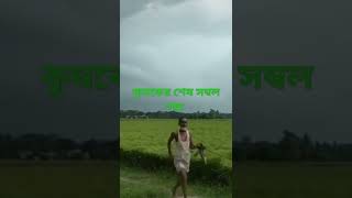 বৃদ্ধ কৃষক