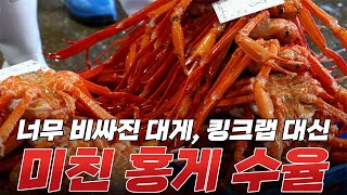 경매에 나타난 A급 홍게, 대게, 킹크랩 | 영상 끝에 오늘의 시세 참고