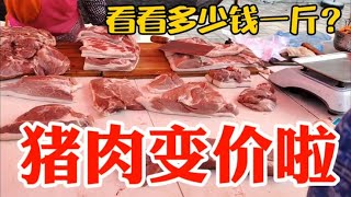 猪肉变价太吓人，看10月2日集市上卖多少钱一斤？大吃一惊~带你们看每天中国菜市场物价【茉茉妈vlog】