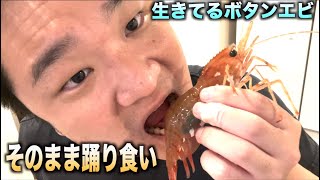 生きてるボタンエビをそのまま踊り食いした結果・・・　#shorts