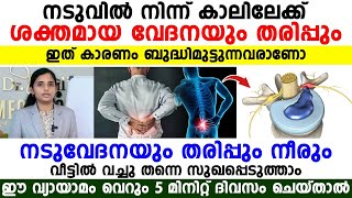 നടുവേദന എങ്ങനെ വീട്ടിൽ തന്നെ സുഖപ്പെടുത്താം 5 മിനിറ്റ് ഇത് ചെയ്താൽ മാത്രം മതി