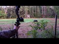 1 Day Archery Challenge {Catch Clean Cook} STALKING A MASSIVE BOAR!!!!