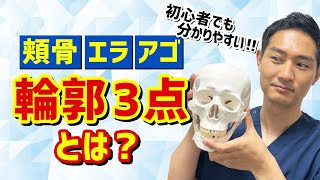 【輪郭を整えたい】輪郭3点とは？【初心者でも分かりやすい】