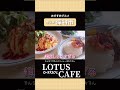 【深谷市】おすすめのお店【lotus cafe】をご紹介！ 深谷 深谷市 おしゃれカフェ lotuscafe