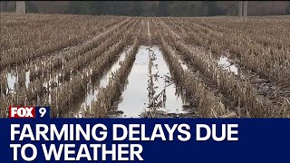 Minnesota farmers face planting delays from wet spring