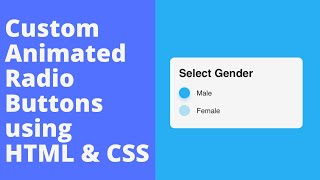 Create Custom Animated Radio Input Button using HTML & CSS