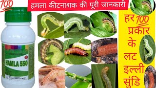 Hamla Insecticide।। हमला कीटनाशक ।। Chlorpyriphos 50% + Cypermethrin 5% EC Gharda chemical Ltd