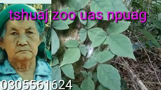 Tshuaj zoo mob uas npuag ,zoo kawg